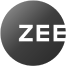 Zee_entertainment_enterprises_logo 1