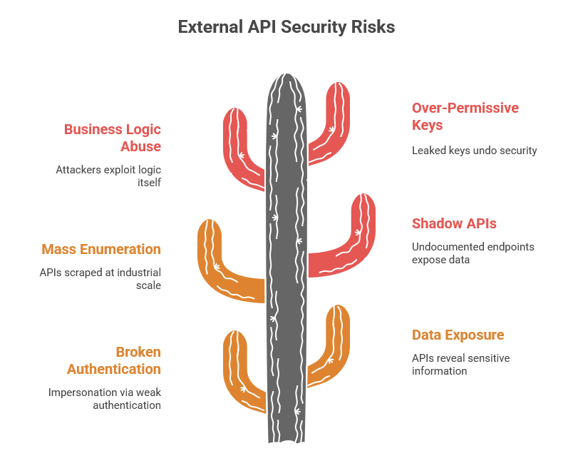 External API Security Risks