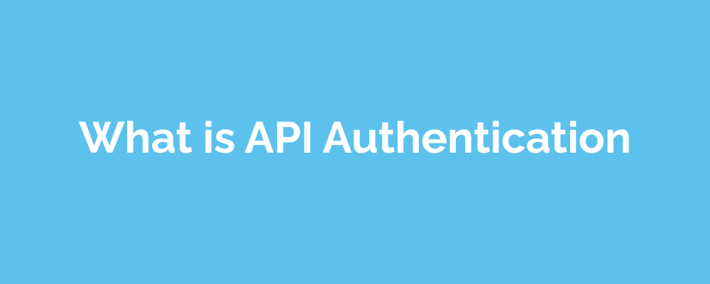 What is API Authentication